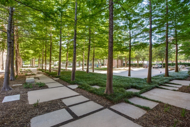 Front Landscaping