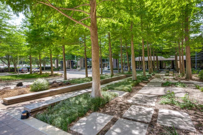 Front Landscaping